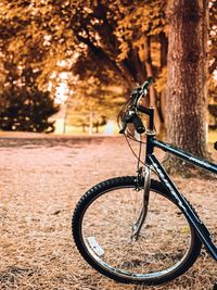 Close-up of bicycle wheel in park