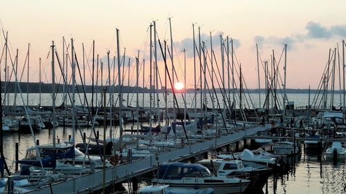 Sailboats moored in harbor at sunset