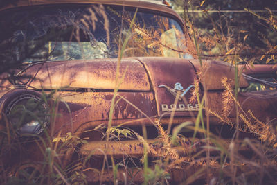 Abandoned car on field