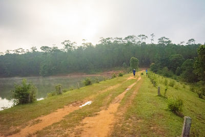 View of road amidst trees on field against sky