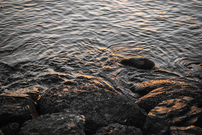 High angle view of rocks in sea