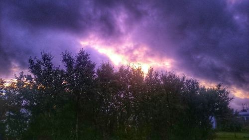 Low angle view of trees against cloudy sky