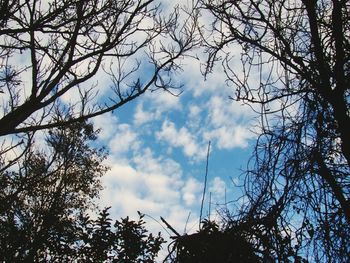 Low angle view of silhouette trees against sky