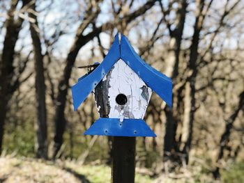 Bird house 