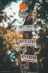 Information sign against trees