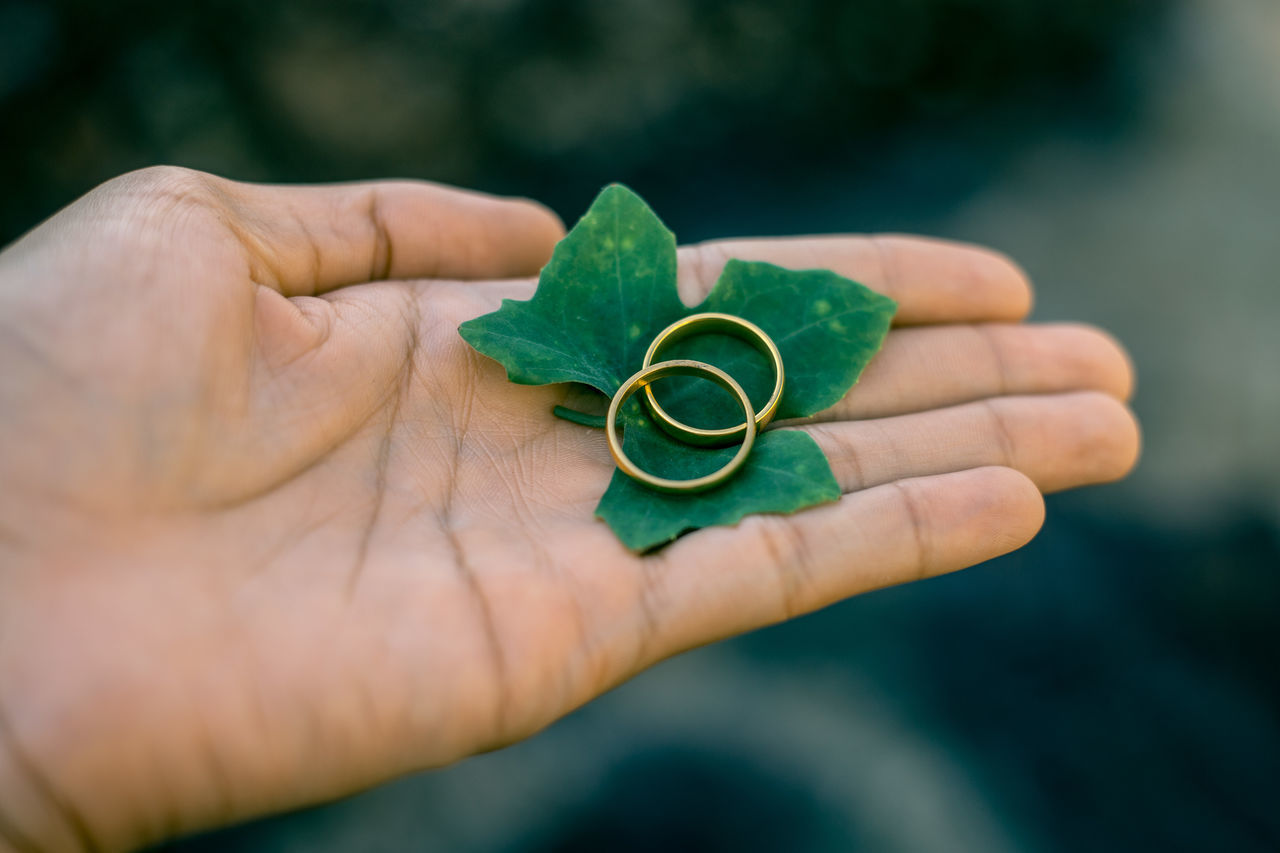 human hand, hand, human body part, holding, one person, body part, human finger, finger, green color, close-up, leaf, plant part, real people, selective focus, focus on foreground, lifestyles, unrecognizable person, day, jewelry, outdoors, human limb, personal accessory, silver colored