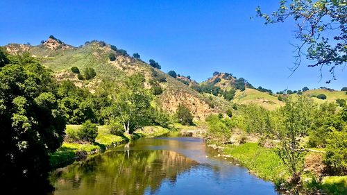 Scenic view of lake against clear blue sky