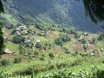 High angle view of agricultural field