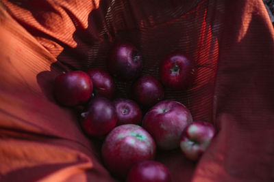 Close up red apples concept photo