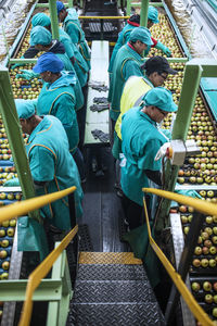 Women working in apple factory