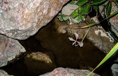 Rocks in water