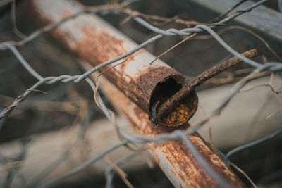 Close-up of rusty metal fence