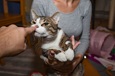 Midsection of woman with cat at home