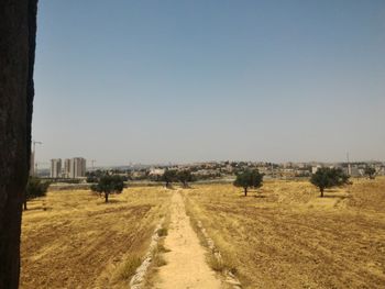 View of field against clear sky