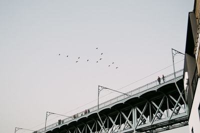 Low angle view of birds flying against clear sky