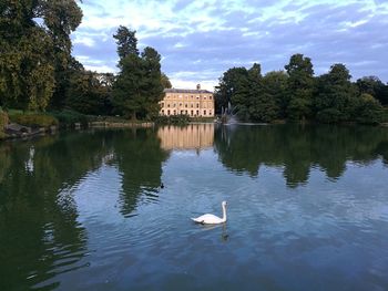 Swans swimming in lake against sky