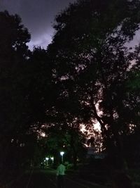 Trees in illuminated park against sky at night