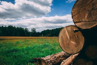 Wooden logs on field by trees against sky