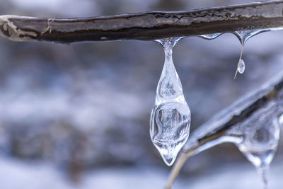 Close-up of frozen water