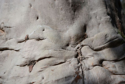 Full frame shot of rock formation