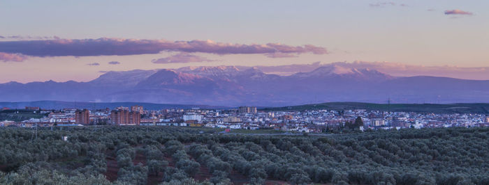 Panoramic view of forest and city against mountains