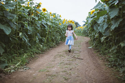 Full length of girl standing in farm