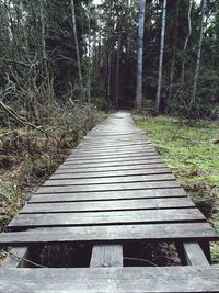 the way forward