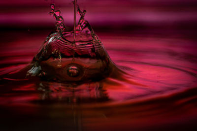 Close-up of water drop on red surface