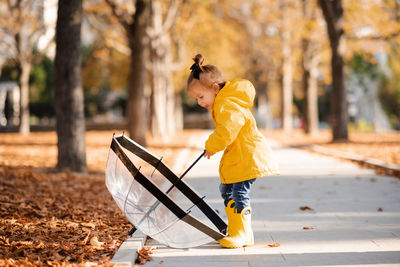  kid girl 2-3 year old in rain jacket and boots hold umbrella in autumn park outdoor over leaves