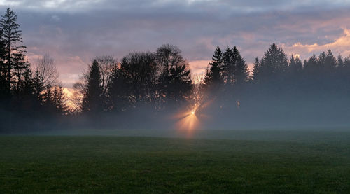 Sunlight streaming through trees on field against sky at sunset