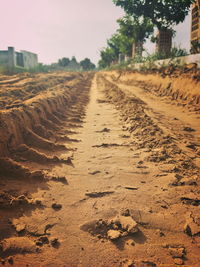 Tire tracks on dirt road