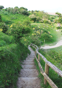 High angle view of staircase in park