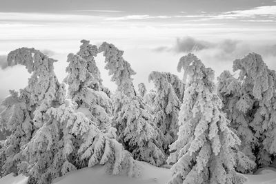 Panoramic view of snow covered mountains against sky