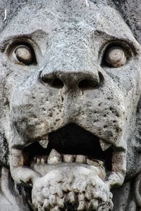 Close-up of lion statue