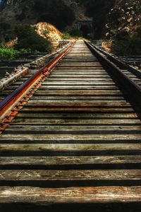 Railroad tracks amidst trees