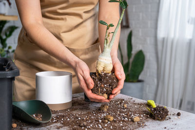 Midsection of woman holding plant