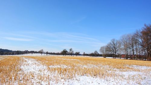 Scenic view of field against sky during winter