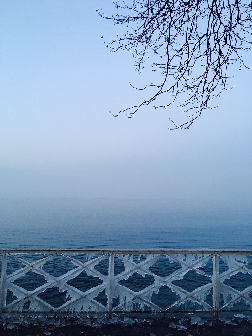 AERIAL VIEW OF TREE BY SEA AGAINST SKY