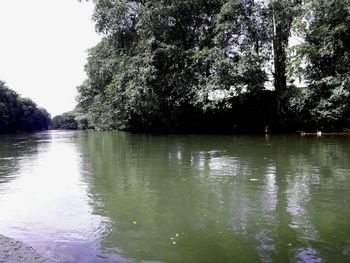 Scenic view of lake in forest against sky