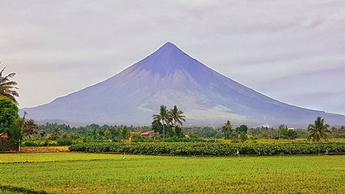 Scenic view of landscape against sky