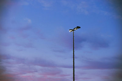 Low angle view of bird perching on pole against sky