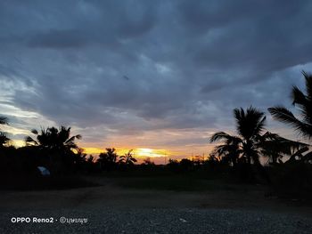 Silhouette palm trees on field against sky at sunset