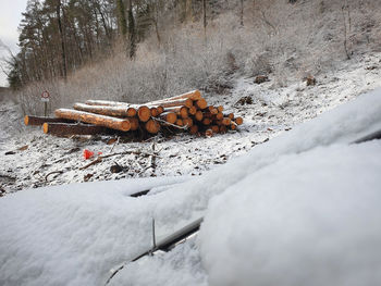 Close-up of logs on snow covered land