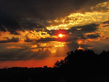 Silhouette trees against dramatic sky during sunset