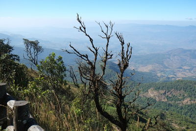 Scenic view of tree mountains against sky