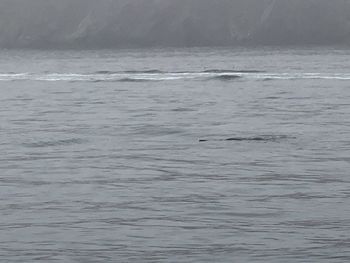 Full frame shot of sea
