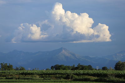 Scenic view of field against sky