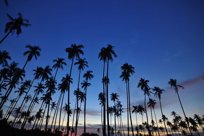 Low angle view of silhouette palm trees against sky during sunset