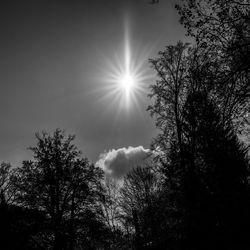 Low angle view of silhouette trees against sky