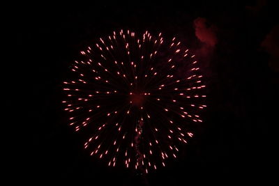 Fireworks exploding in night sky